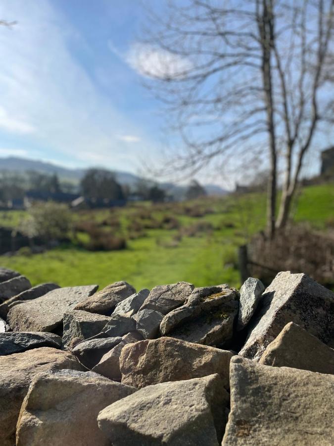 Trawsfynydd Stone Cottage Ngoại thất bức ảnh